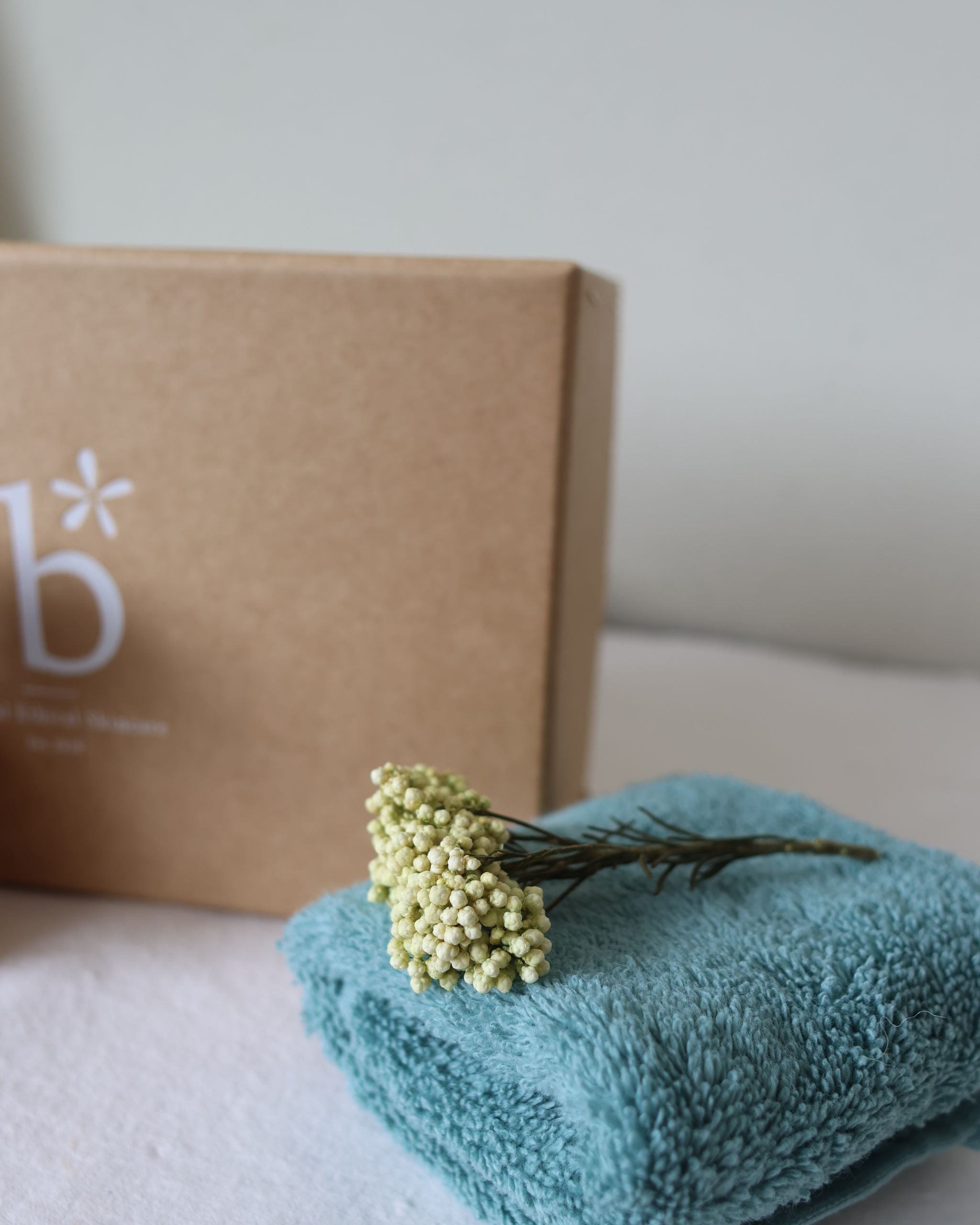 Natural Shaving Gift Set - Lemongrass & Coconut