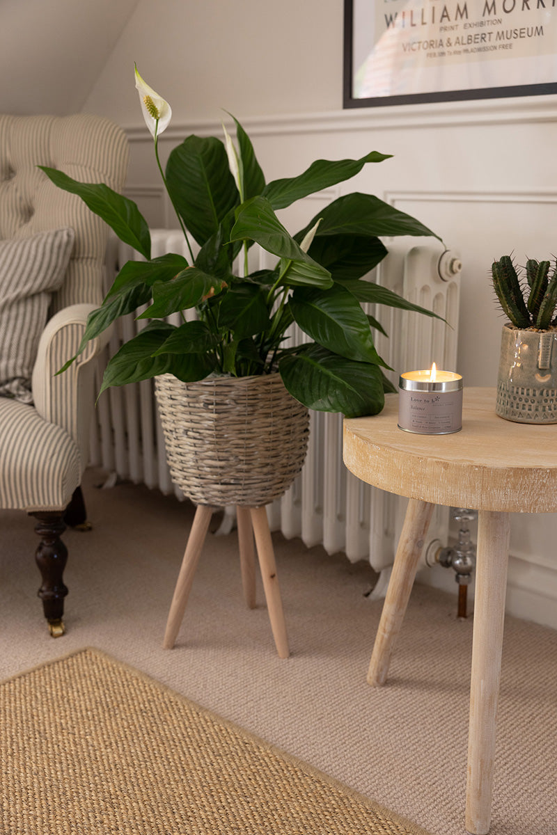 A Love to b natural soy candle on a side table in the hallway of a home next to a pot plant a armchair